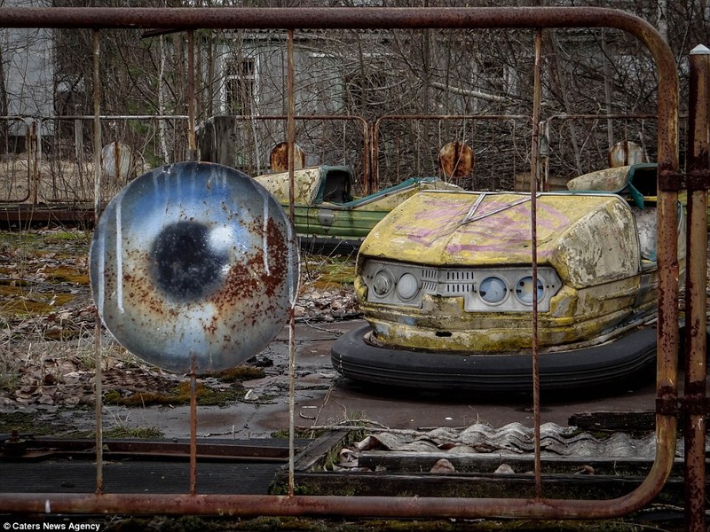 Rung minh canh ben trong thanh pho “ma” sau tham hoa Chernobyl-Hinh-10